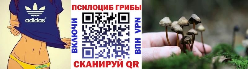 Псилоцибиновые грибы ЛСД  Кувандык 